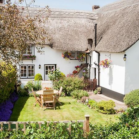 Farmhouse Cottage Sidmouth Eksteriør billede